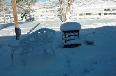 Day 2 Patio looking West